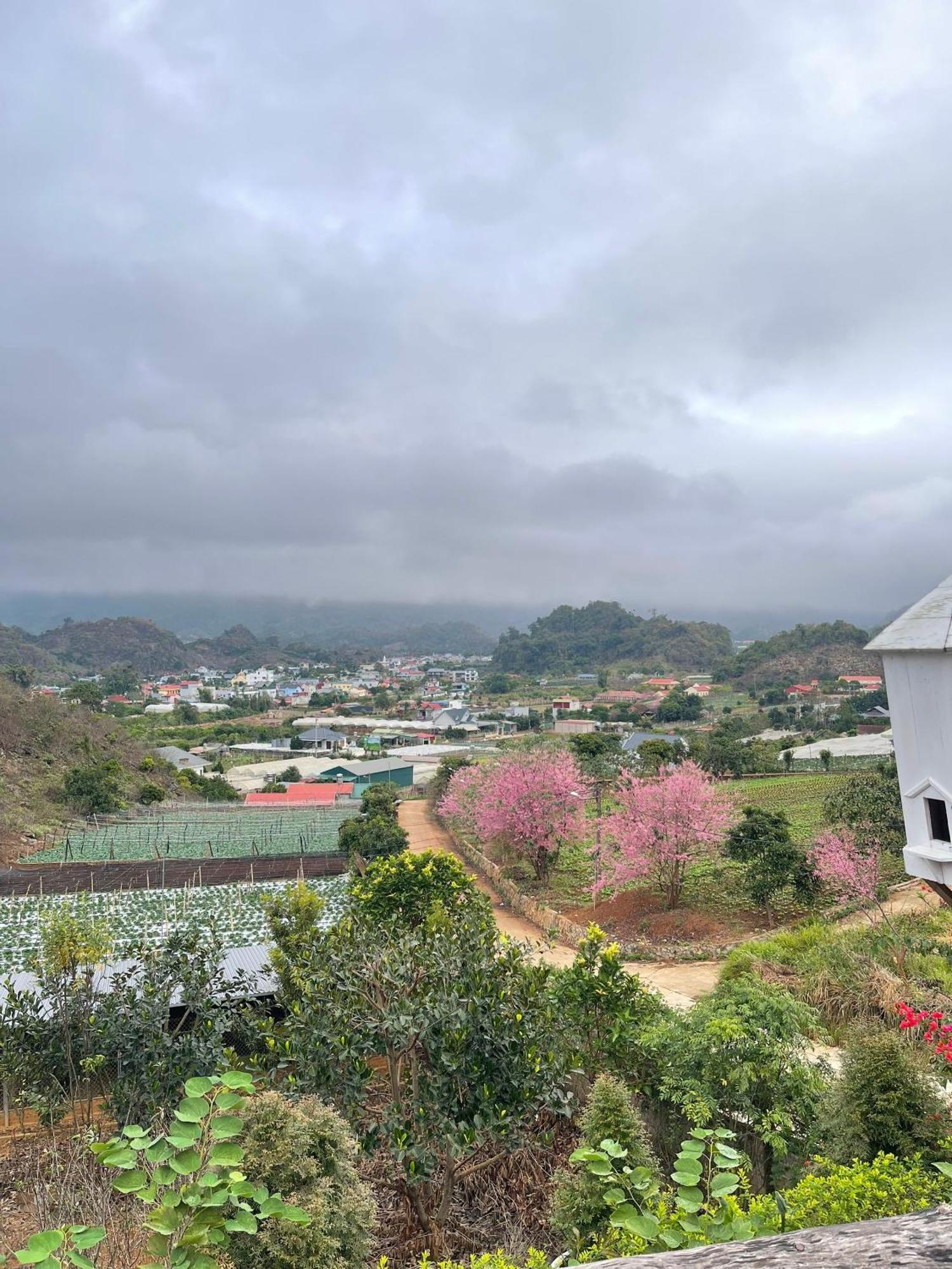 Doi Thong Homestay Moc Chau - By Bay Luxury Son La المظهر الخارجي الصورة
